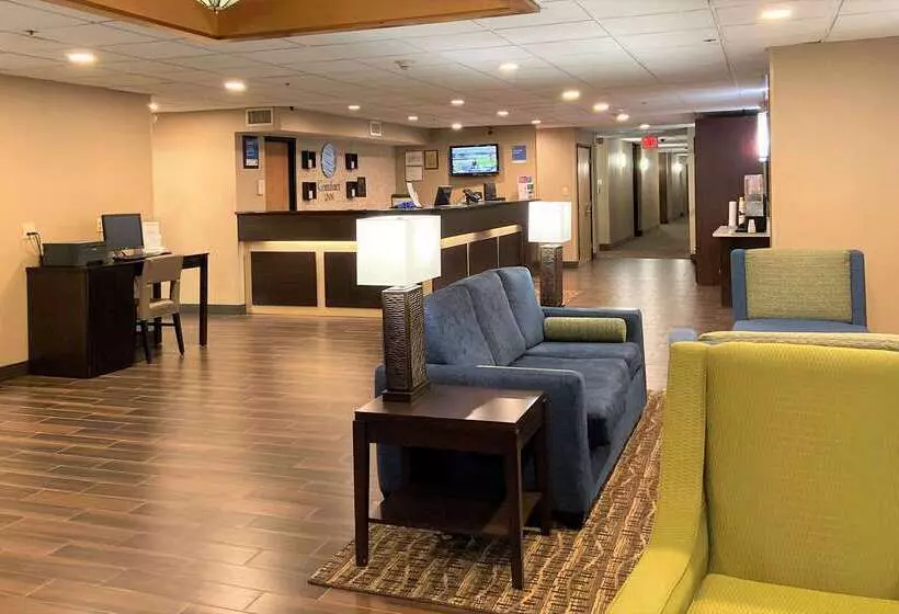 ホテル Comfort Inn Herndon Reston