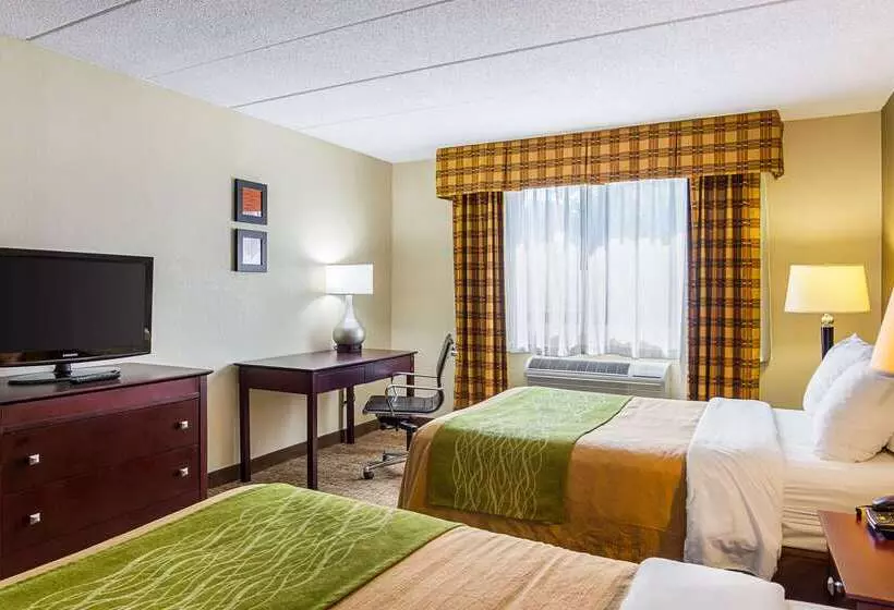 ホテル Comfort Inn Herndon Reston