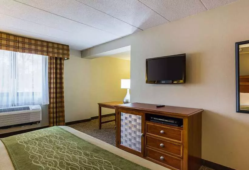 ホテル Comfort Inn Herndon Reston