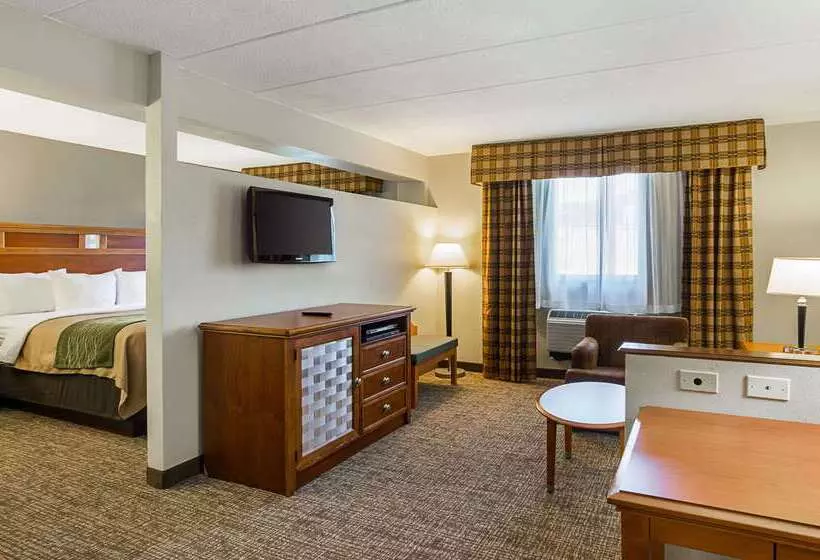 ホテル Comfort Inn Herndon Reston