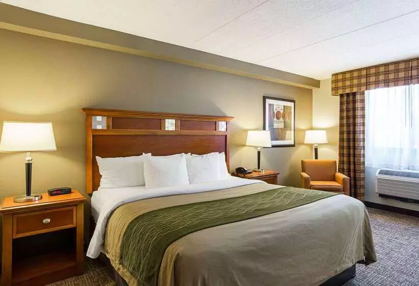 ホテル Comfort Inn Herndon Reston