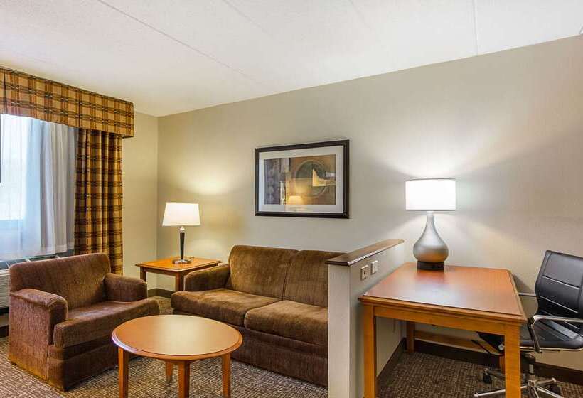فندق Comfort Inn Herndon Reston