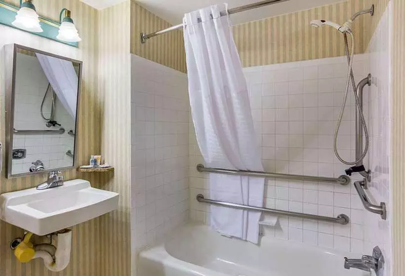 ホテル Comfort Inn Herndon Reston