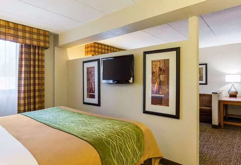 ホテル Comfort Inn Herndon Reston