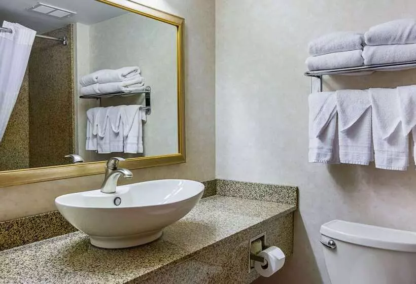 ホテル Comfort Inn Herndon Reston