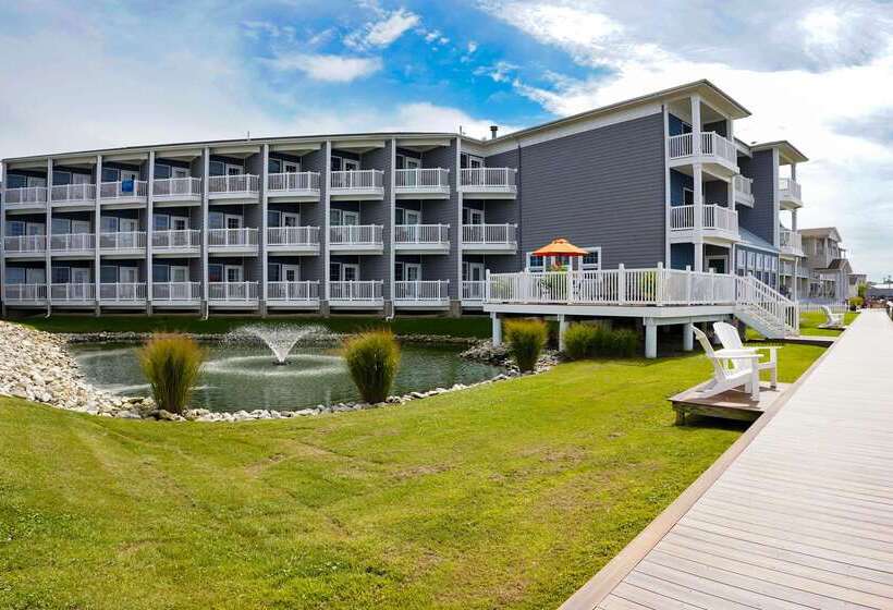 酒店 Comfort Suites Chincoteague Island Bayfront Resort