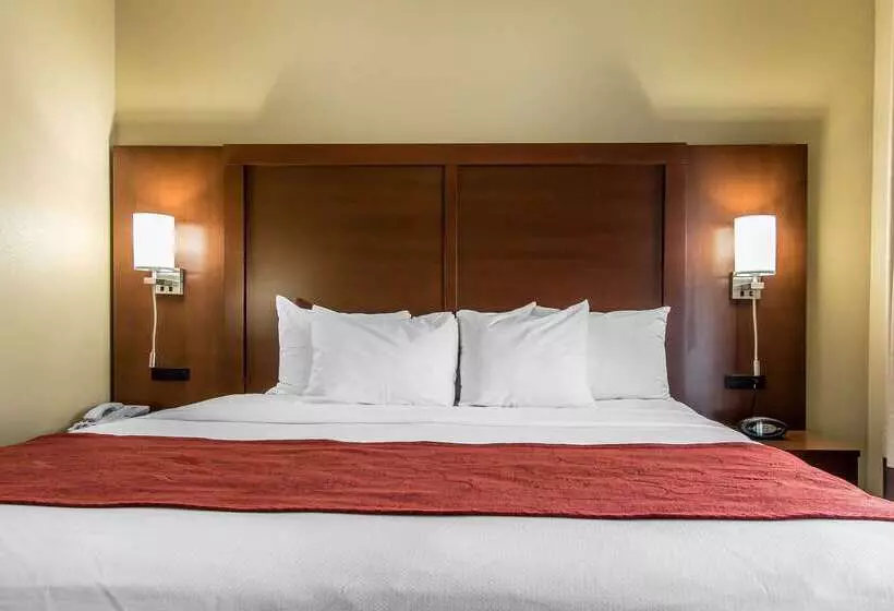 호텔 Comfort Suites Effingham