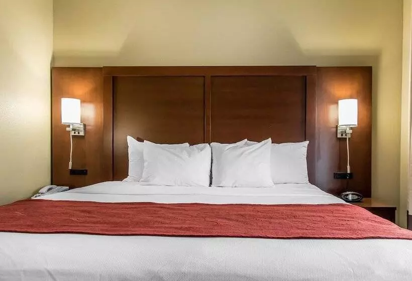 호텔 Comfort Suites Effingham