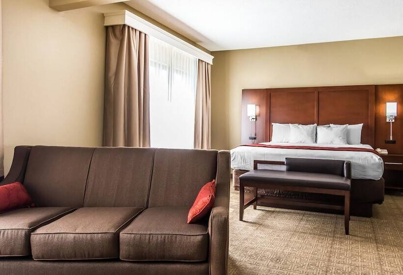 ホテル Comfort Suites Effingham