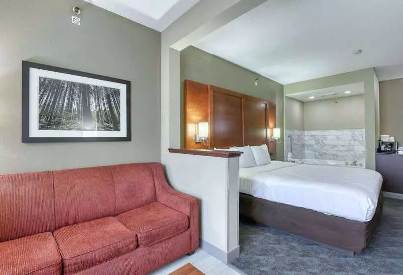 هتل Comfort Suites Madison West