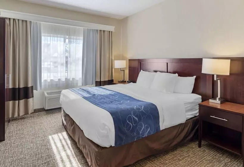 호텔 Comfort Suites Normal University Area