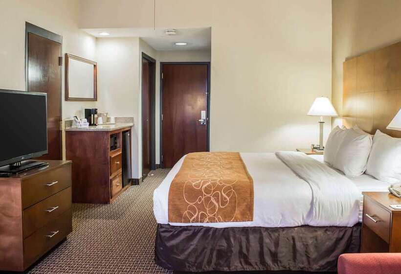 ホテル Comfort Suites Raleigh Durham Airport/rtp