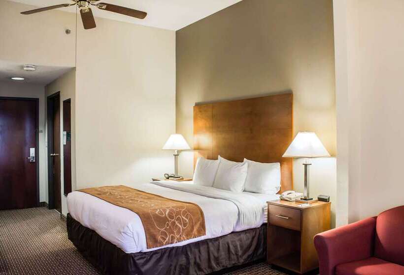 ホテル Comfort Suites Raleigh Durham Airport/rtp