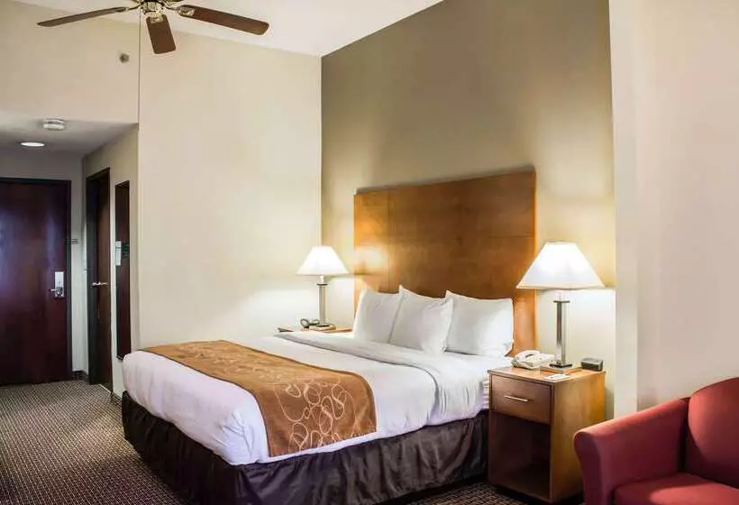 Hotel Comfort Suites Raleigh Durham Airport/rtp