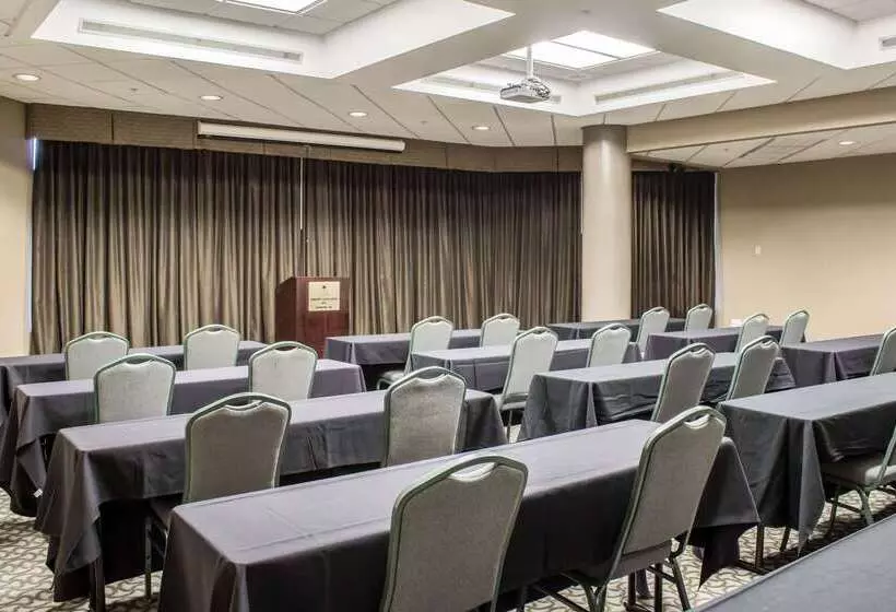 Hotel Comfort Suites Raleigh Durham Airport/rtp