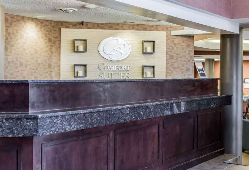 ホテル Comfort Suites Raleigh Durham Airport/rtp