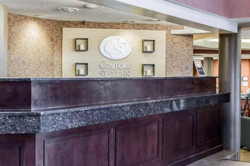 Hotel Comfort Suites Raleigh Durham Airport/rtp
