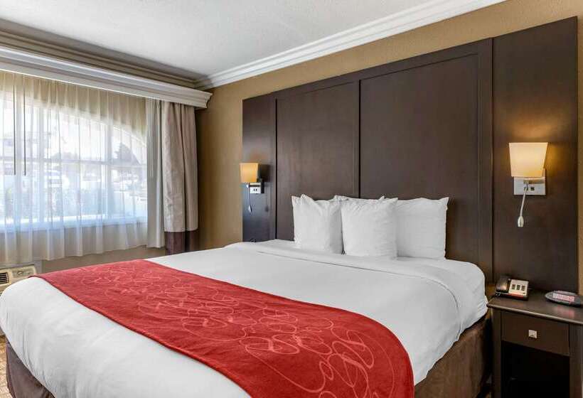 ホテル Comfort Suites San Clemente Beach