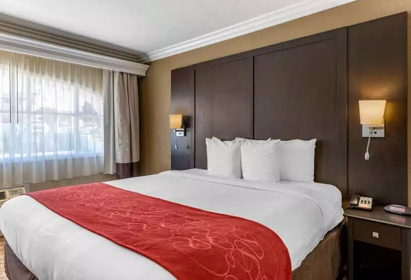 酒店 Comfort Suites San Clemente Beach