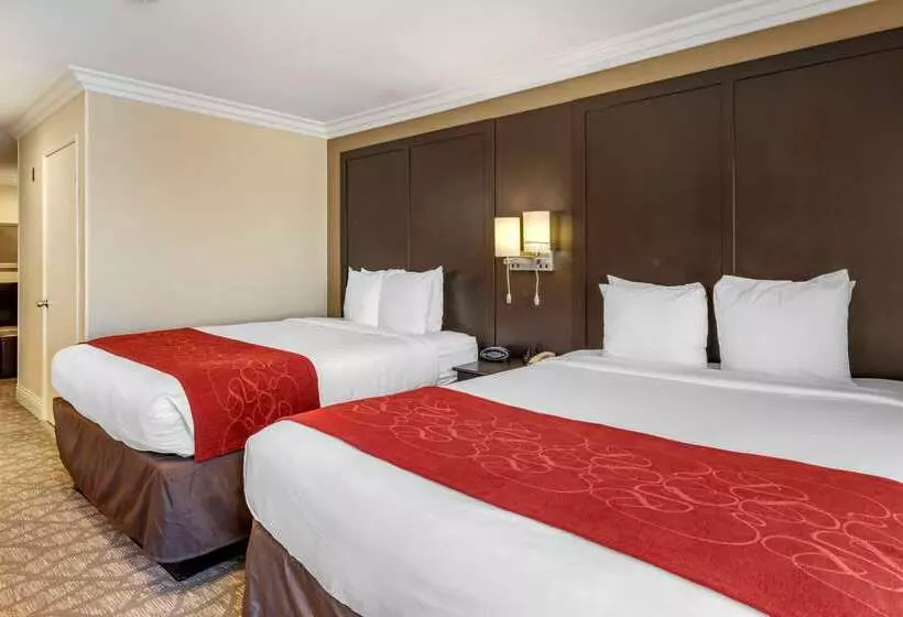 酒店 Comfort Suites San Clemente Beach