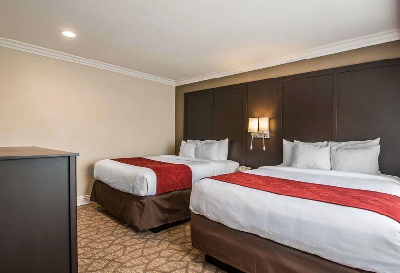 ホテル Comfort Suites San Clemente Beach