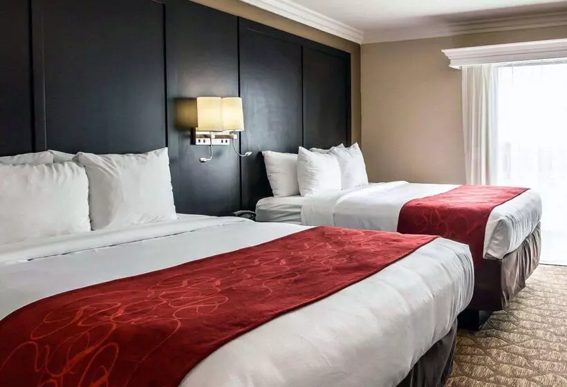 酒店 Comfort Suites San Clemente Beach