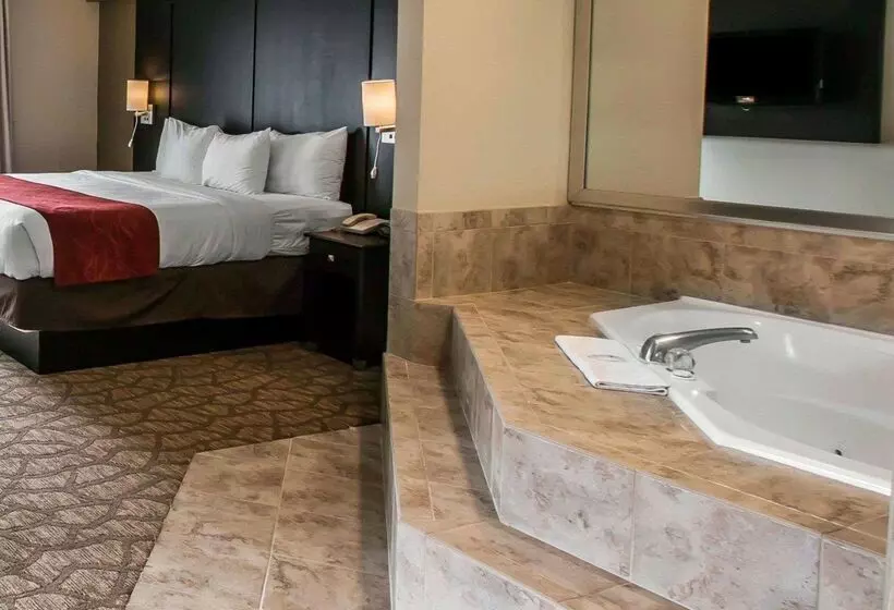 酒店 Comfort Suites San Clemente Beach