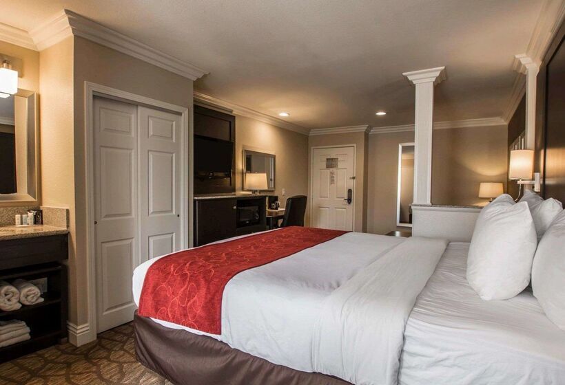 ホテル Comfort Suites San Clemente Beach