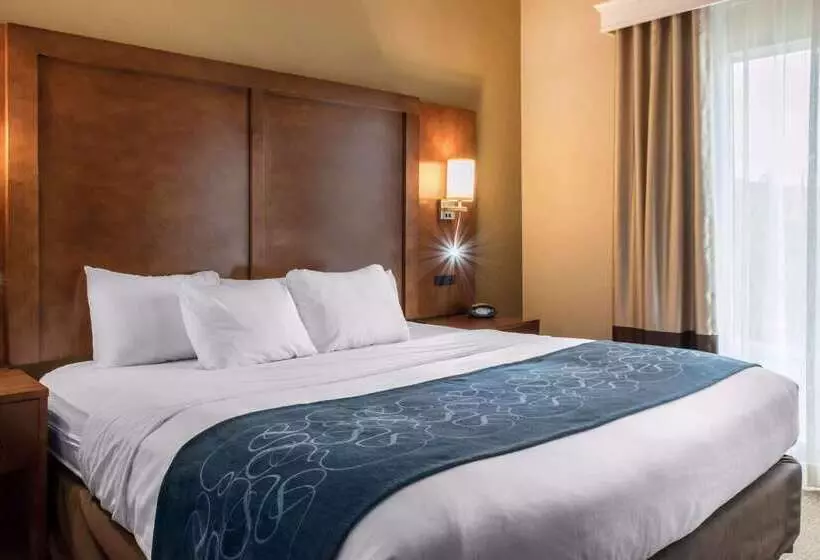 ホテル Comfort Suites Scranton Near Montage Mountain