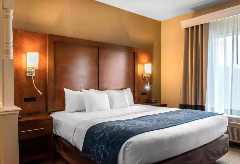 ホテル Comfort Suites Scranton Near Montage Mountain