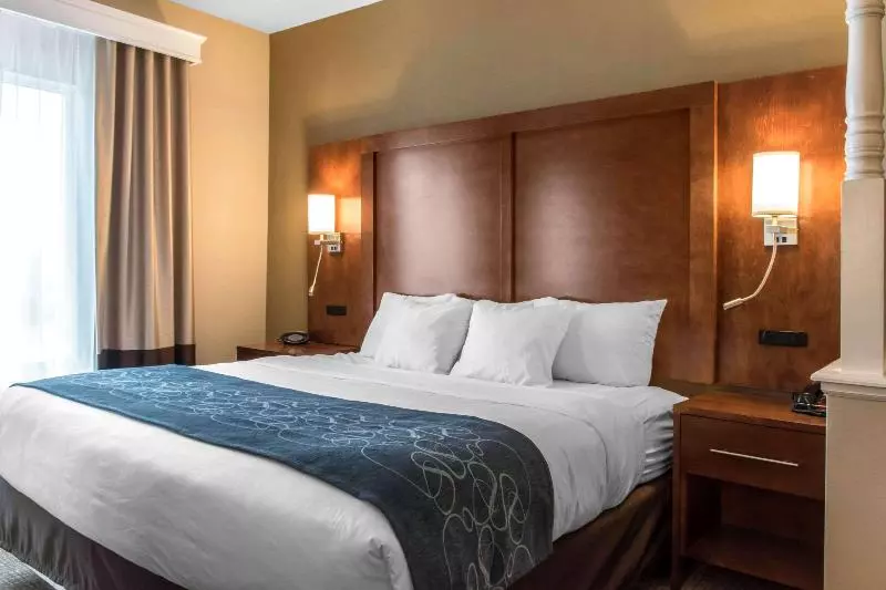 ホテル Comfort Suites Scranton Near Montage Mountain