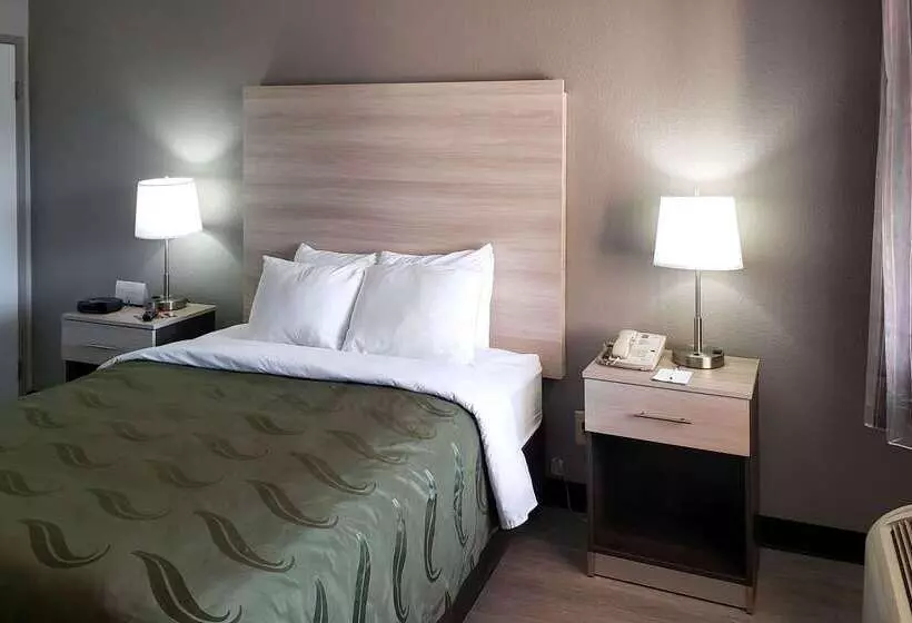 ホテル Quality Inn Airport East
