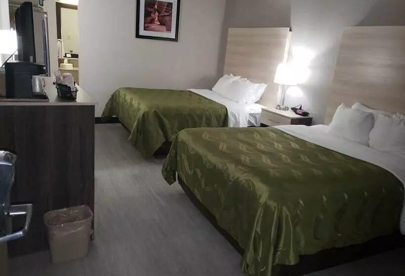 ホテル Quality Inn Airport East