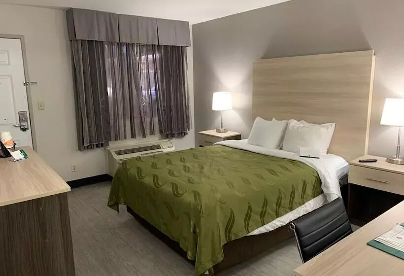ホテル Quality Inn Airport East