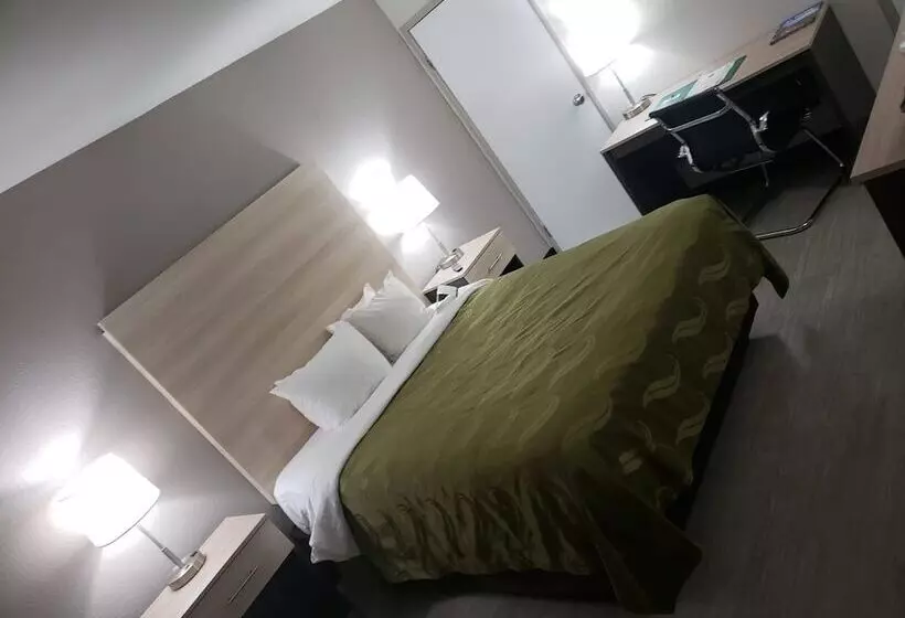 ホテル Quality Inn Airport East