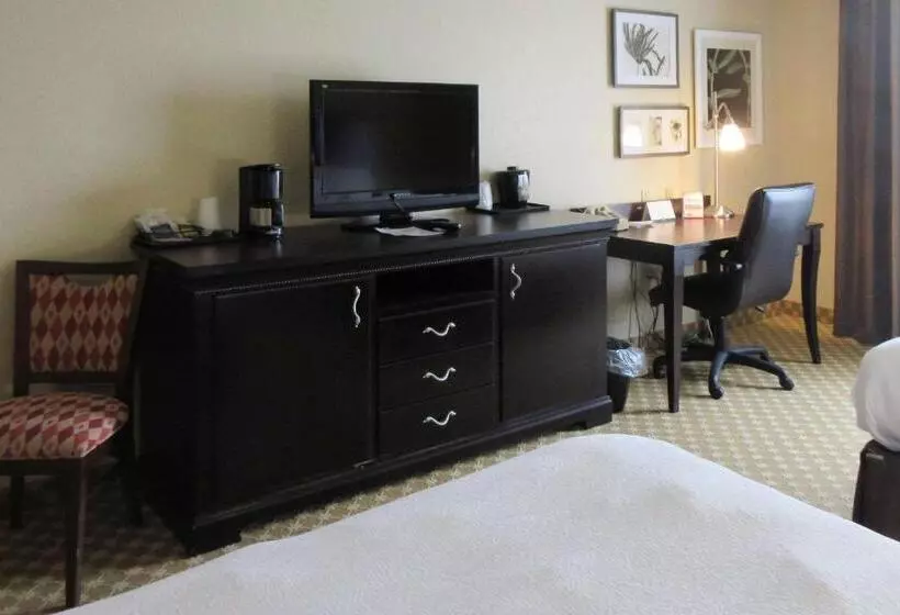 酒店 Quality Inn & Suites