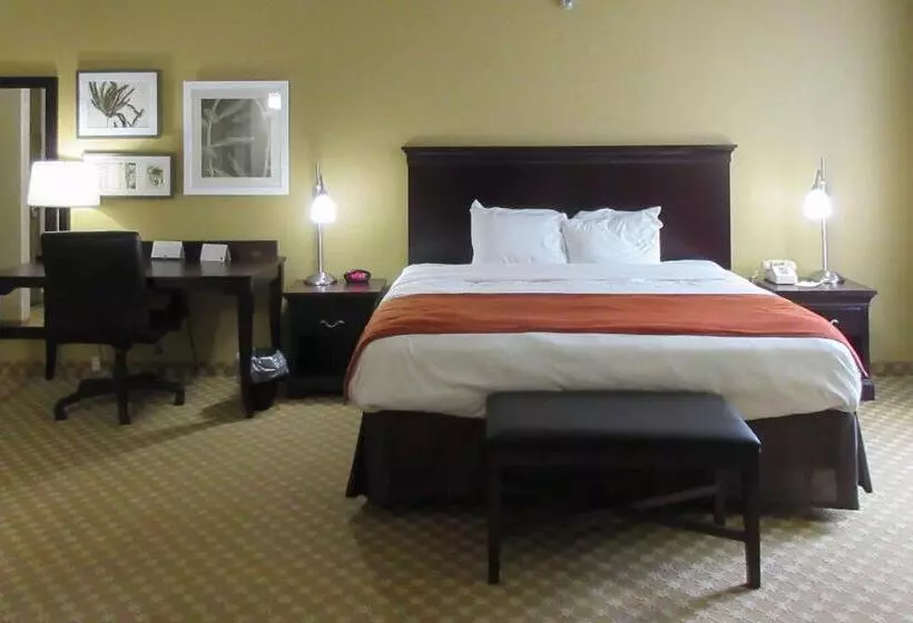 酒店 Quality Inn & Suites