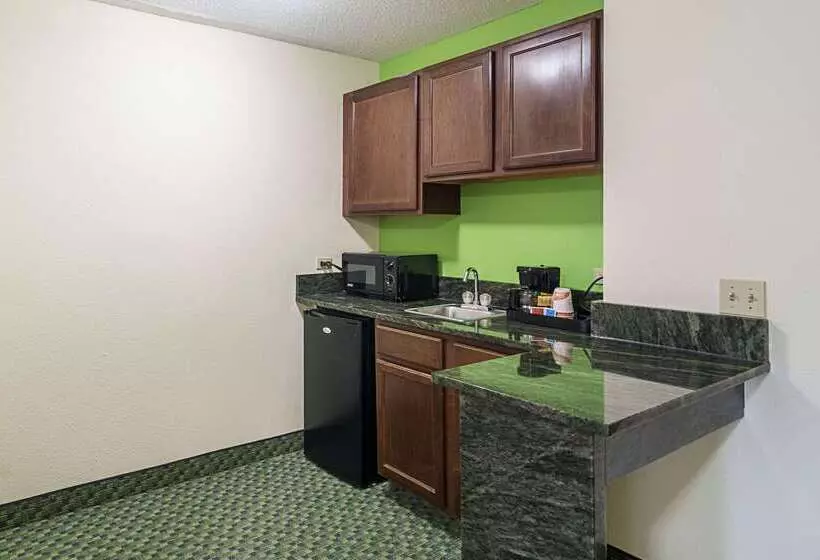 酒店 Quality Inn & Suites Near I 80 And I 294