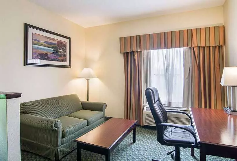 酒店 Quality Inn & Suites Near I 80 And I 294