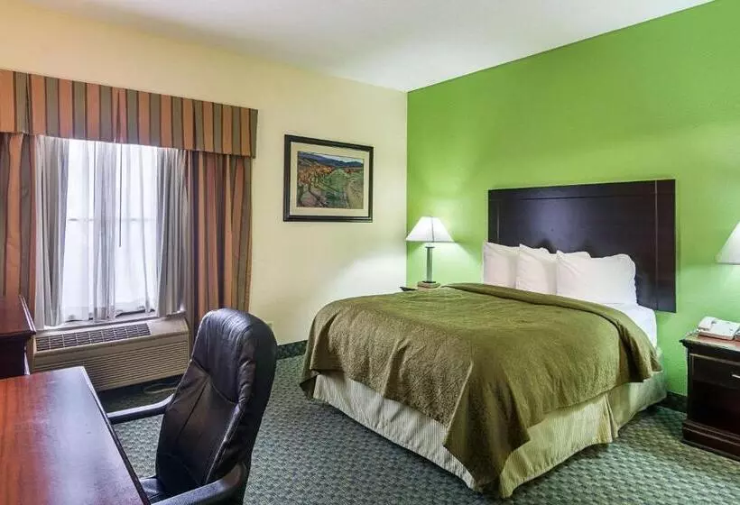 酒店 Quality Inn & Suites Near I 80 And I 294