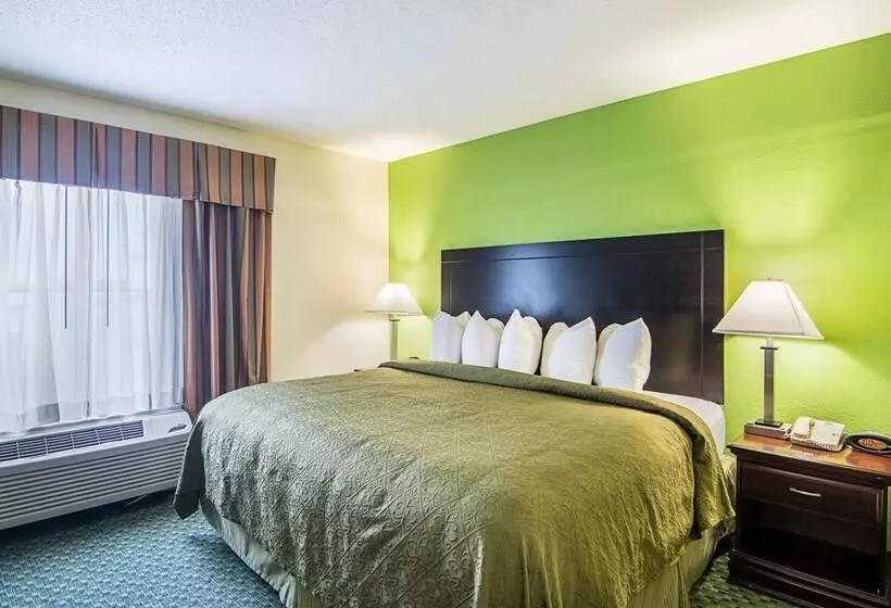 酒店 Quality Inn & Suites Near I 80 And I 294