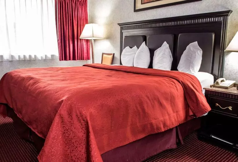 酒店 Quality Inn & Suites North Gibsonia