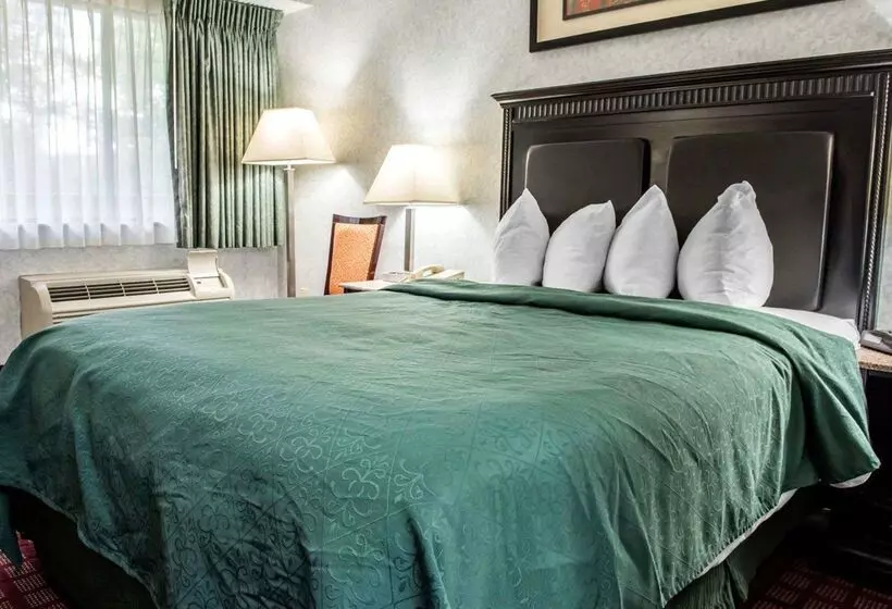 酒店 Quality Inn & Suites North Gibsonia