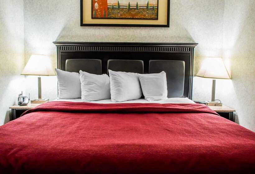 酒店 Quality Inn & Suites North Gibsonia