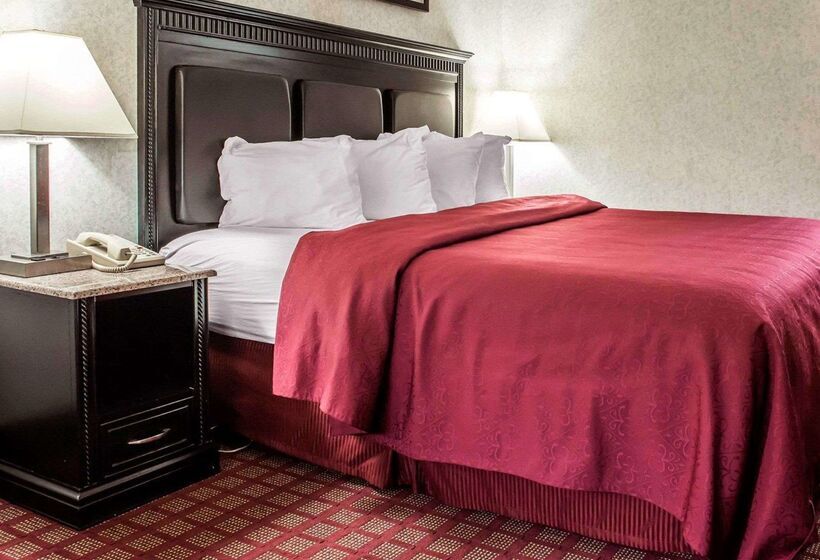 酒店 Quality Inn & Suites North Gibsonia
