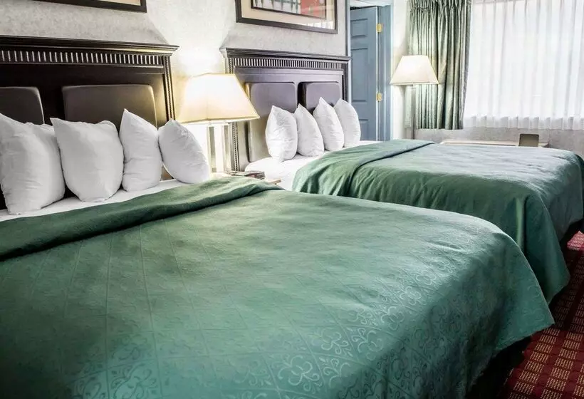 酒店 Quality Inn & Suites North Gibsonia