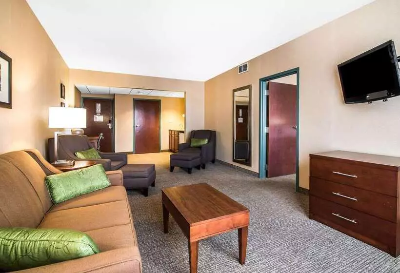 Отель Quality Inn & Suites