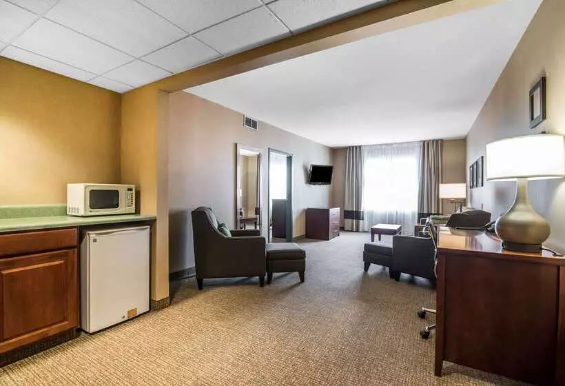 Отель Quality Inn & Suites