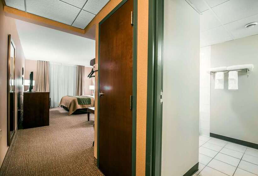 ホテル Quality Inn & Suites
