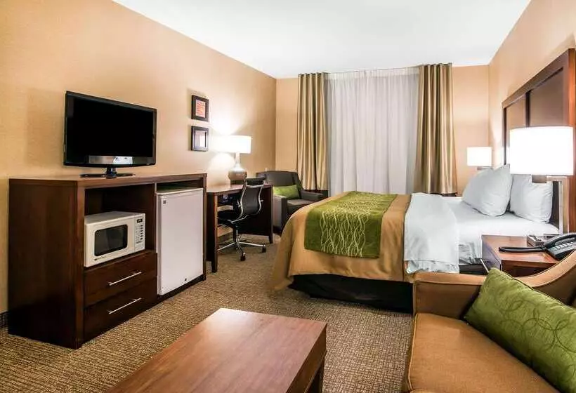 Отель Quality Inn & Suites